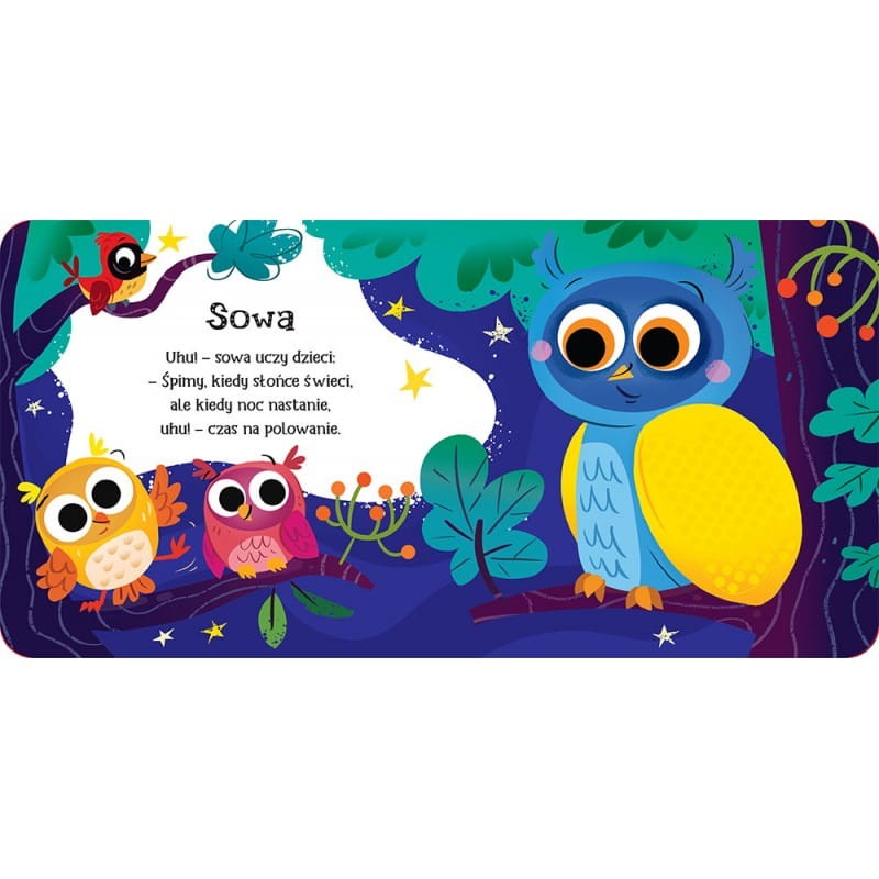 zobacz-dotknij-poczuj-zwierzeta-lesne-ksiazeczka-sensoryczna (1).jpg